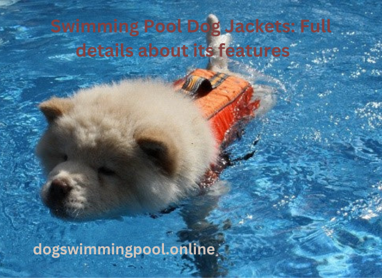 dogswimmingpool.online