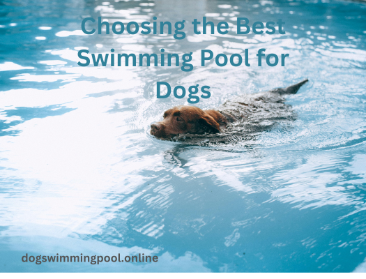 dogswmmingpool.online