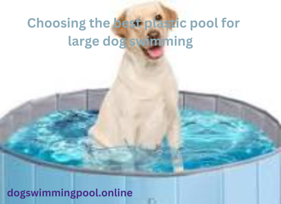 dogswimmingpool.online