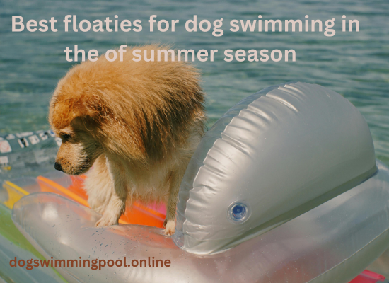 dogswimmingpool.online